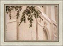 Load image into Gallery viewer, Salt Lake City Temple Even The Smallest Details