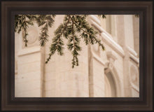 Load image into Gallery viewer, Salt Lake City Temple Even The Smallest Details