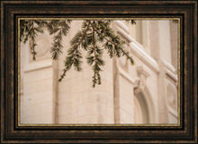 Load image into Gallery viewer, Salt Lake City Temple Even The Smallest Details