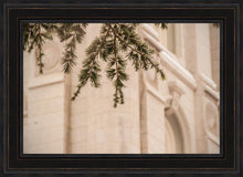 Load image into Gallery viewer, Salt Lake City Temple Even The Smallest Details