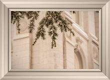 Load image into Gallery viewer, Salt Lake City Temple Even The Smallest Details