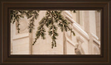 Load image into Gallery viewer, Salt Lake City Temple Even The Smallest Details