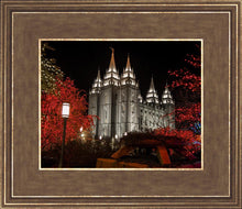 Load image into Gallery viewer, Salt Lake City Temple Lights Aglow