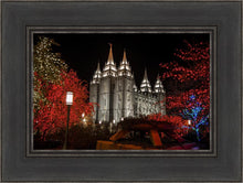 Load image into Gallery viewer, Salt Lake City Temple Lights Aglow