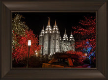 Load image into Gallery viewer, Salt Lake City Temple Lights Aglow