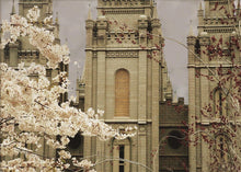 Load image into Gallery viewer, Salt Lake City Temple The Promise