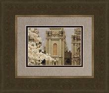 Load image into Gallery viewer, Salt Lake City Temple The Promise Sepia