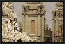 Load image into Gallery viewer, Salt Lake City Temple The Promise Sepia Gallery Wrap