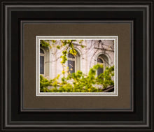 Load image into Gallery viewer, Salt Lake City Temple Windows Of Eternity