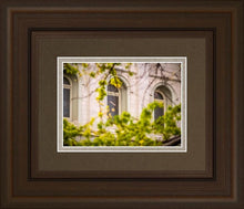 Load image into Gallery viewer, Salt Lake City Temple Windows Of Eternity