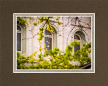 Load image into Gallery viewer, Salt Lake City Temple Windows Of Eternity