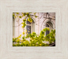 Load image into Gallery viewer, Salt Lake City Temple Windows Of Eternity