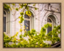Load image into Gallery viewer, Salt Lake City Temple Windows Of Eternity Gallery Wrap