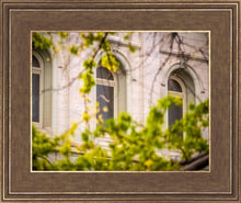 Load image into Gallery viewer, Salt Lake City Temple Windows Of Eternity