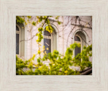 Load image into Gallery viewer, Salt Lake City Temple Windows Of Eternity