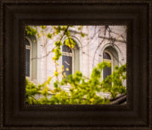 Load image into Gallery viewer, Salt Lake City Temple Windows Of Eternity