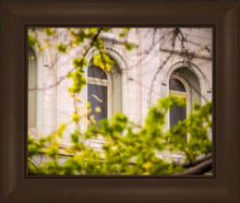 Load image into Gallery viewer, Salt Lake City Temple Windows Of Eternity