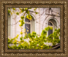 Load image into Gallery viewer, Salt Lake City Temple Windows Of Eternity