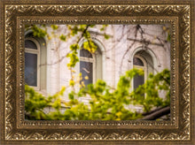 Load image into Gallery viewer, Salt Lake City Temple Windows Of Eternity