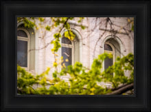 Load image into Gallery viewer, Salt Lake City Temple Windows Of Eternity