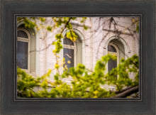 Load image into Gallery viewer, Salt Lake City Temple Windows Of Eternity