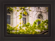 Load image into Gallery viewer, Salt Lake City Temple Windows Of Eternity