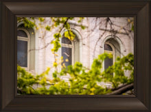Load image into Gallery viewer, Salt Lake City Temple Windows Of Eternity