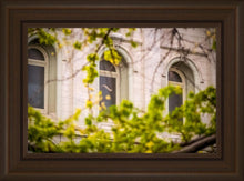 Load image into Gallery viewer, Salt Lake City Temple Windows Of Eternity