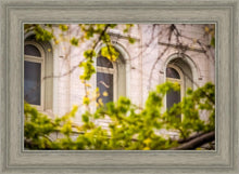 Load image into Gallery viewer, Salt Lake City Temple Windows Of Eternity