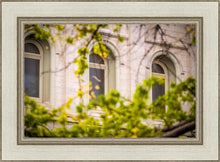 Load image into Gallery viewer, Salt Lake City Temple Windows Of Eternity