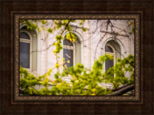Load image into Gallery viewer, Salt Lake City Temple Windows Of Eternity