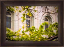 Load image into Gallery viewer, Salt Lake City Temple Windows Of Eternity