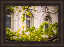 Load image into Gallery viewer, Salt Lake City Temple Windows Of Eternity