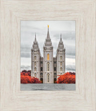 Load image into Gallery viewer, Salt Lake City Temple Autumn's Glory