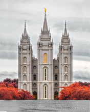 Load image into Gallery viewer, Salt Lake City Temple Autumn's Glory