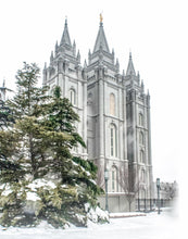 Load image into Gallery viewer, Salt Lake City Temple Doors Eternal