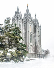 Load image into Gallery viewer, Salt Lake City Temple Evergreen Christmas Gallery Wrap