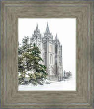Load image into Gallery viewer, Salt Lake City Temple Evergreen Christmas