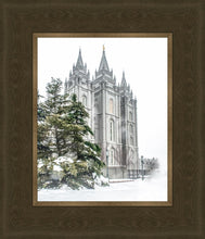 Load image into Gallery viewer, Salt Lake City Temple Evergreen Christmas