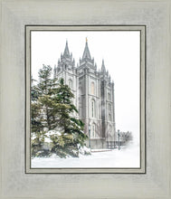 Load image into Gallery viewer, Salt Lake City Temple Evergreen Christmas