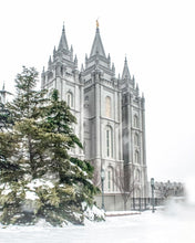 Load image into Gallery viewer, Salt Lake City Temple Evergreen Christmas Gallery Wrap