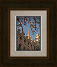 Load image into Gallery viewer, Salt Lake City Temple He Giveth Light