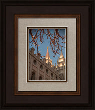 Load image into Gallery viewer, Salt Lake City Temple He Giveth Light