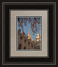 Load image into Gallery viewer, Salt Lake City Temple He Giveth Light