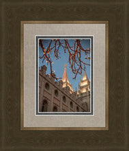 Load image into Gallery viewer, Salt Lake City Temple He Giveth Light