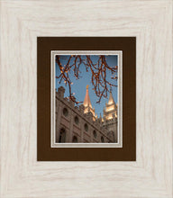 Load image into Gallery viewer, Salt Lake City Temple He Giveth Light