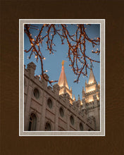 Load image into Gallery viewer, Salt Lake City Temple He Giveth Light