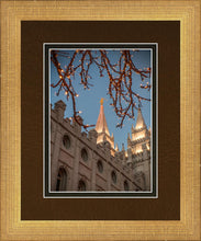 Load image into Gallery viewer, Salt Lake City Temple He Giveth Light