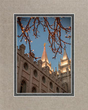 Load image into Gallery viewer, Salt Lake City Temple He Giveth Light