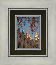 Load image into Gallery viewer, Salt Lake City Temple He Giveth Light